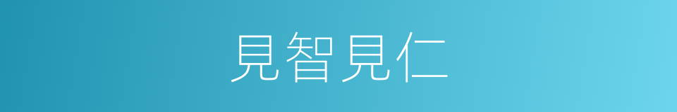 見智見仁的意思
