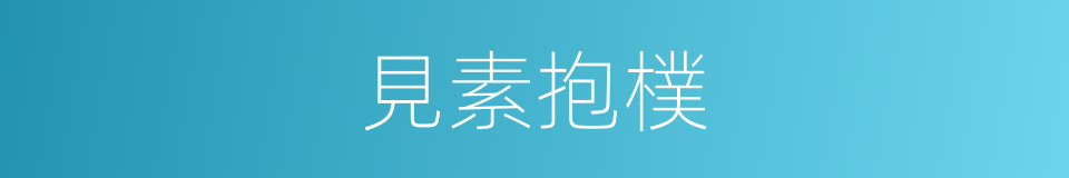 見素抱樸的意思