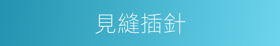 見縫插針的意思