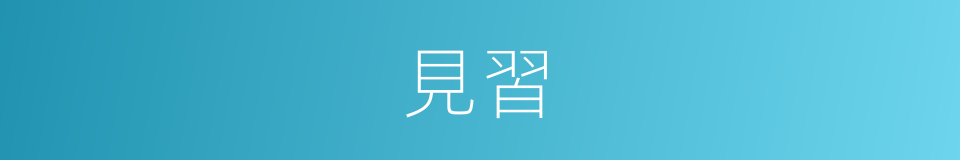 見習的意思