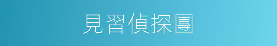 見習偵探團的同義詞