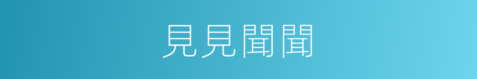 見見聞聞的意思