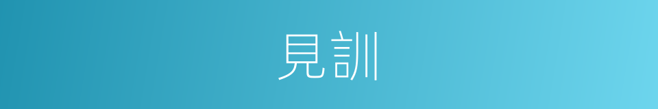 見訓的同義詞