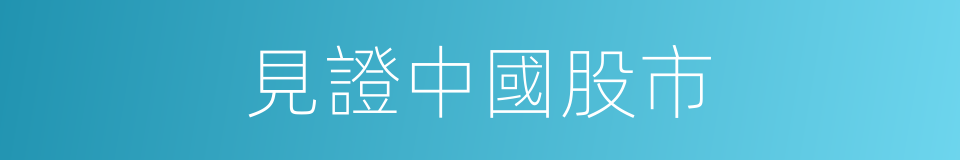 見證中國股市的同義詞