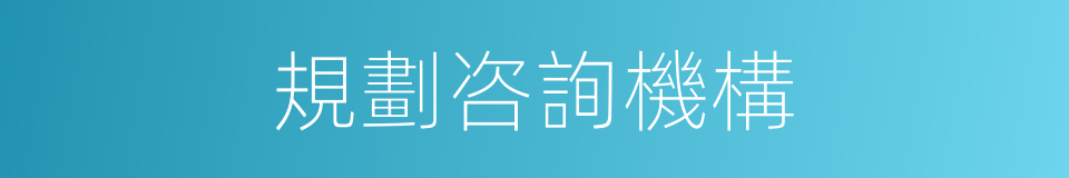 規劃咨詢機構的同義詞