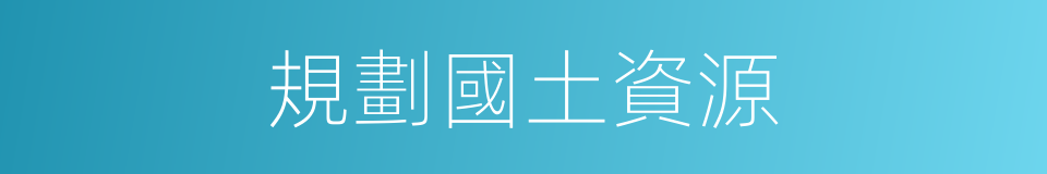 規劃國土資源的同義詞