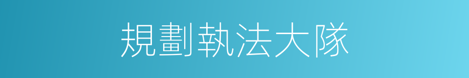 規劃執法大隊的同義詞