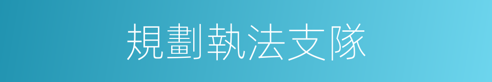 規劃執法支隊的同義詞