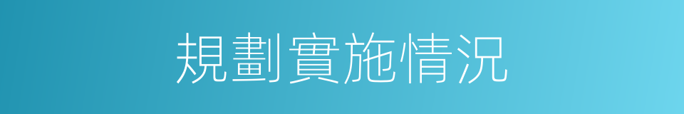 規劃實施情況的同義詞