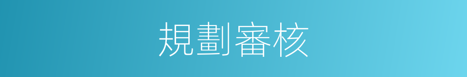 規劃審核的同義詞