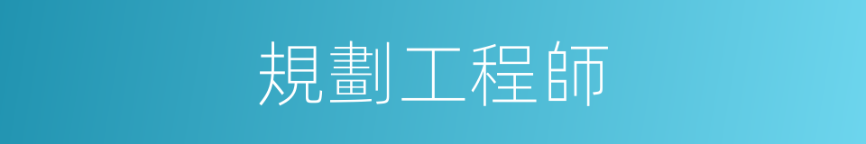 規劃工程師的同義詞