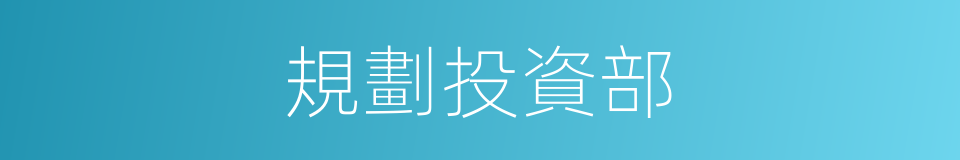 規劃投資部的同義詞