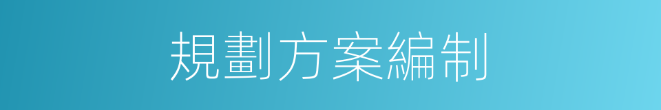 規劃方案編制的同義詞