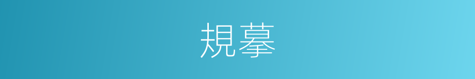 規摹的意思