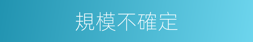 規模不確定的同義詞