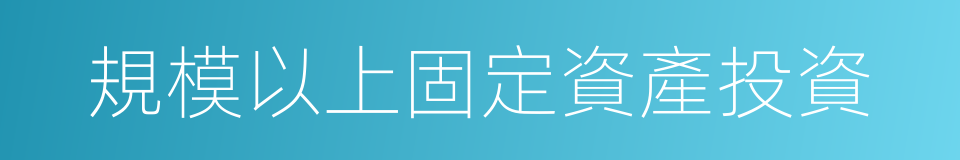 規模以上固定資產投資的同義詞