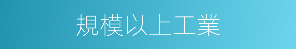 規模以上工業的同義詞