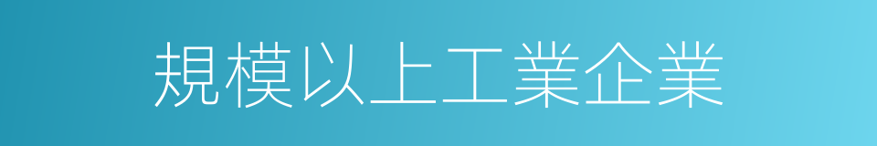 規模以上工業企業的同義詞