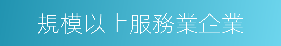 規模以上服務業企業的同義詞