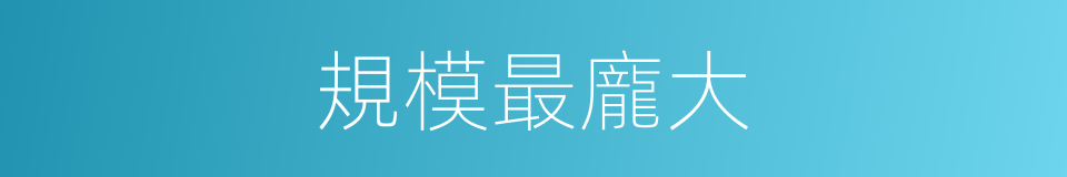 規模最龐大的同義詞