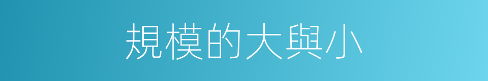 規模的大與小的同義詞
