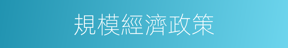 規模經濟政策的同義詞