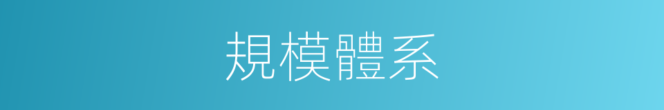 規模體系的同義詞