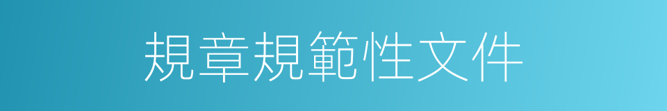 規章規範性文件的同義詞