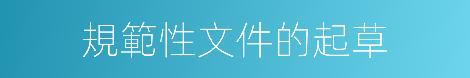 規範性文件的起草的同義詞