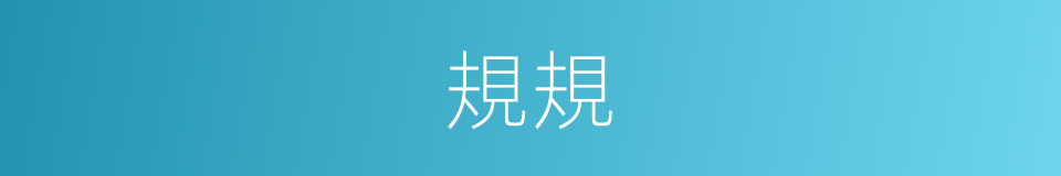規規的意思