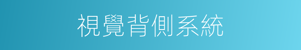 視覺背側系統的同義詞