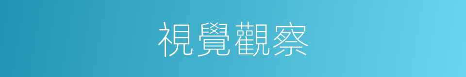 視覺觀察的同義詞