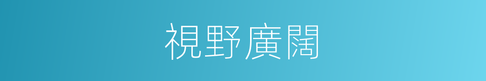 視野廣闊的同義詞