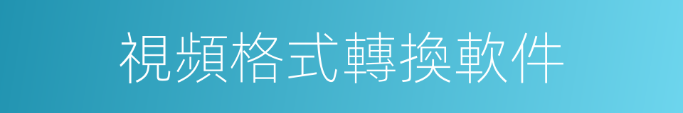 視頻格式轉換軟件的同義詞