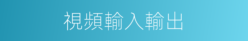 視頻輸入輸出的同義詞