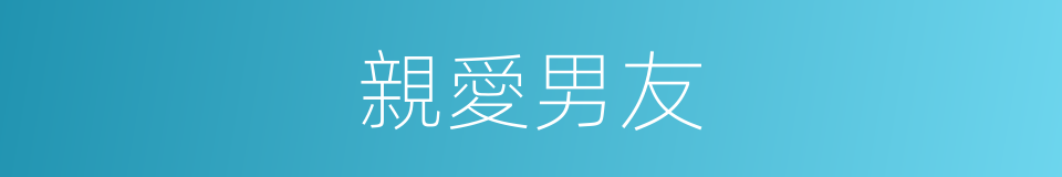 親愛男友的同義詞