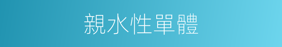 親水性單體的同義詞