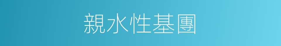 親水性基團的同義詞