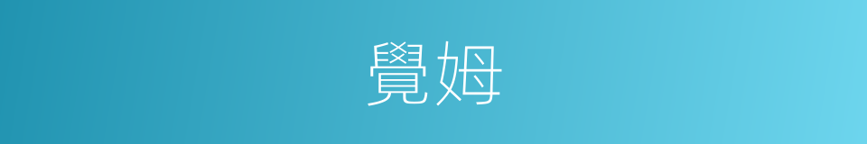 覺姆的同義詞