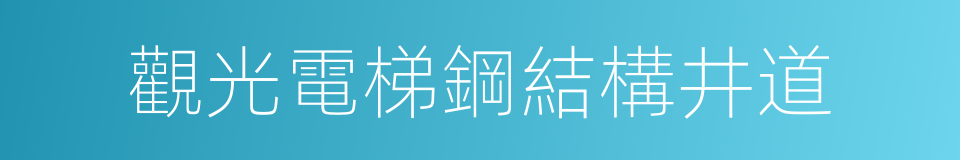 觀光電梯鋼結構井道的同義詞