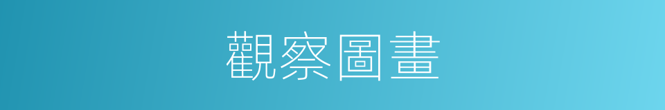觀察圖畫的同義詞