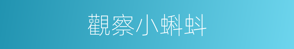 觀察小蝌蚪的同義詞