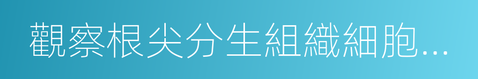觀察根尖分生組織細胞的有絲分裂的同義詞