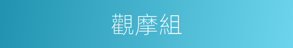 觀摩組的同義詞