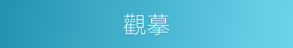 觀摹的同義詞