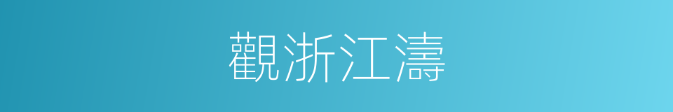 觀浙江濤的同義詞