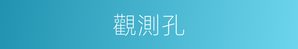 觀測孔的同義詞