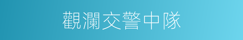 觀瀾交警中隊的同義詞