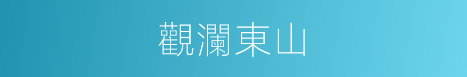觀瀾東山的同義詞