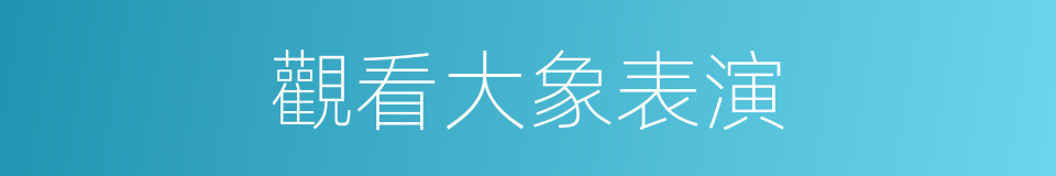 觀看大象表演的同義詞